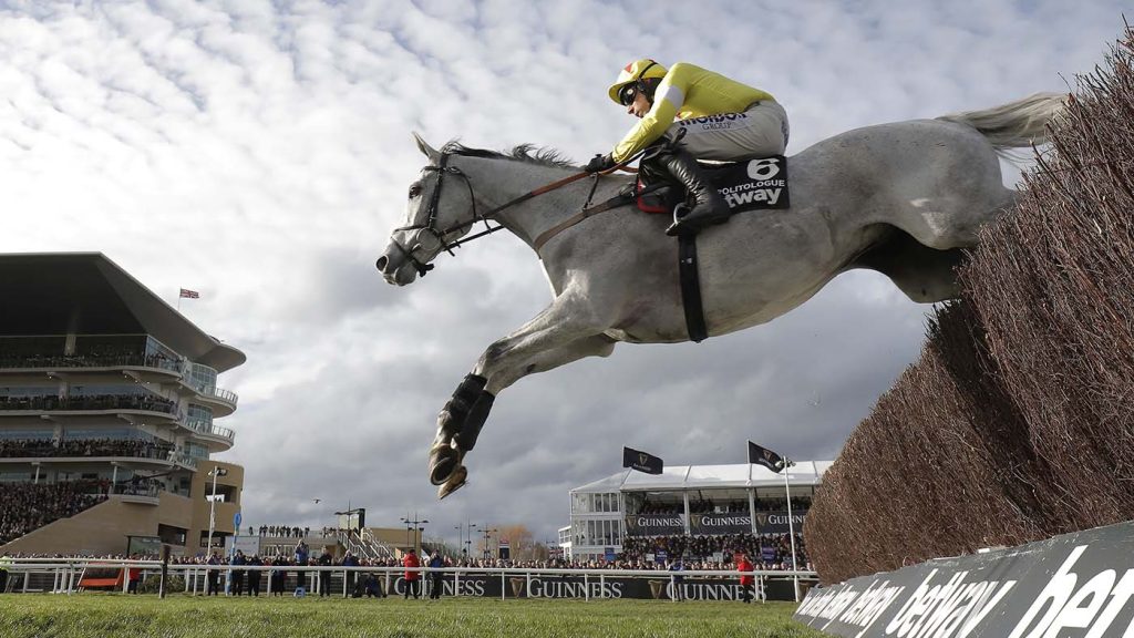 cheltenham offers horse spring